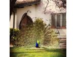 Agriturismo IL Molino Della Cagnoletta