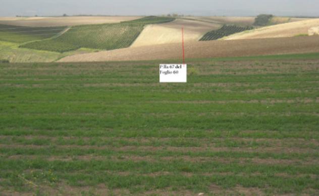 Immobile in asta di 65049 m² in vendita a Lavello - Foto 12
