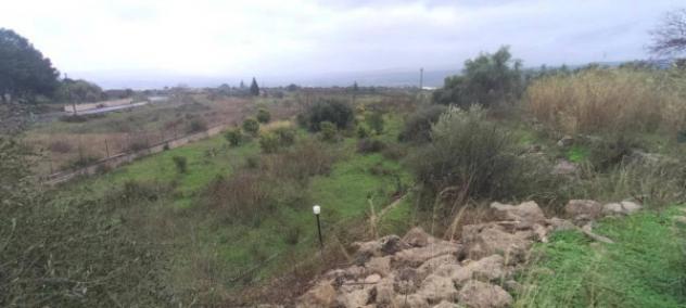 Immobile in asta di 8780 m² in vendita a Militello in Val di Catania - Foto 3