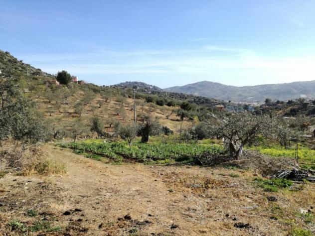 Agricolo in SP126 - Foto 2