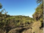 Terreno Agricolo località 'Ponte', agro di Lauro, frazione di Sessa Aurunca