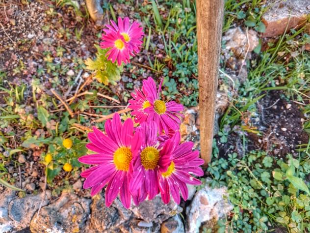 Pentalocale in vendita a Montalcino - Foto 17