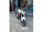 Benelli BN 302