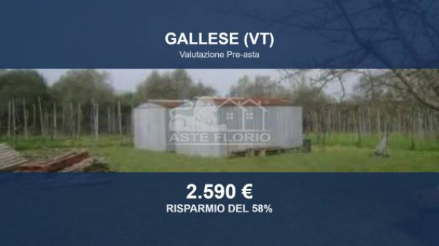 Immobile in asta di 3200 m² in vendita a Vignanello