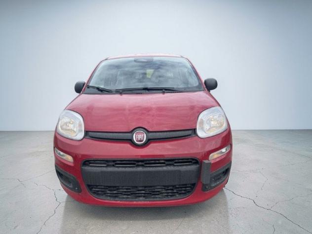 FIAT Pandina 1.0 FireFly 65cv S&S 6m Hybrid Pop - Foto 3