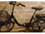 Vendo bici elettrica pieghevole