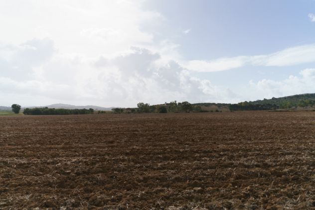 Magliano in Toscana, Podere Pantanella unione di passione e buon gusto - Foto 17