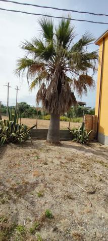 Industriale in vendita a Ardore - Foto 18