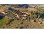 Azienda agricola in vendita a Poggibonsi 2000 mq  Rif: 924809