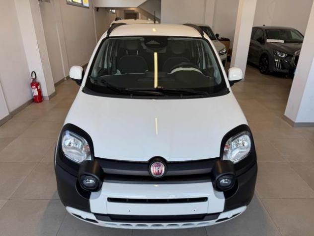 FIAT Panda Cross 1.0 FireFly S&S Hybrid Pandina rif. 24108922 - Foto 2