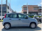 FIAT Panda 3ª serie Panda 1.2 EasyPower Easy
