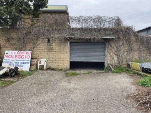 Immobile in asta di 2986 m² in vendita a Montefiascone - Foto 7