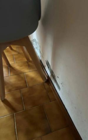 Immobile in asta di 83 m² in vendita a Gonzaga - Foto 3