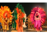 Brasilian Show