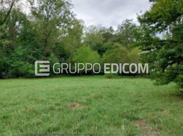 Terreno di 8296 mq in vendita a Villafranca in Lunigiana - Rif. 4554406 - Foto 3