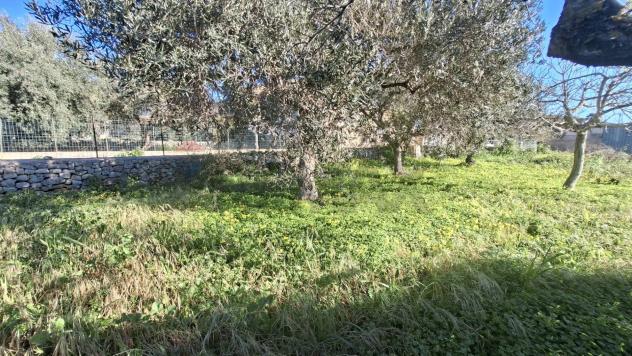 Villa singola in vendita a Modica, Modica Sorda - Foto 9