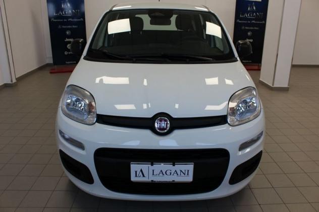 FIAT Panda 1.0 FireFly S&S Hybrid Icon - Foto 2