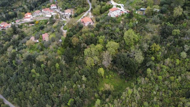 Villa in Contrada Selvatine Villaggio Santoro - Foto 6