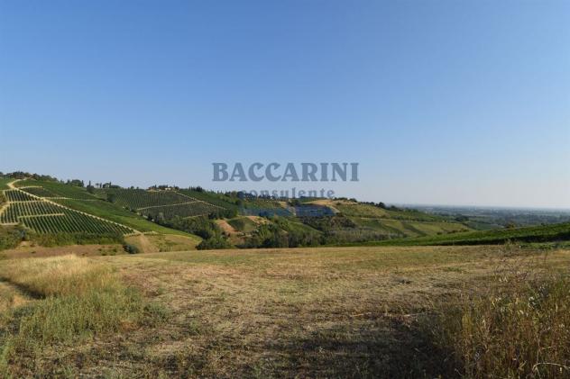 PROPRIETA' BRISIGHELLA - VIA LODOLONE 29 - Foto 10