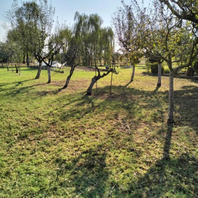 C031. CARPI CAMPAGNA. TERRENO AGRICOLO CON LAGETTO E CAPANNONCINO. - Foto 4