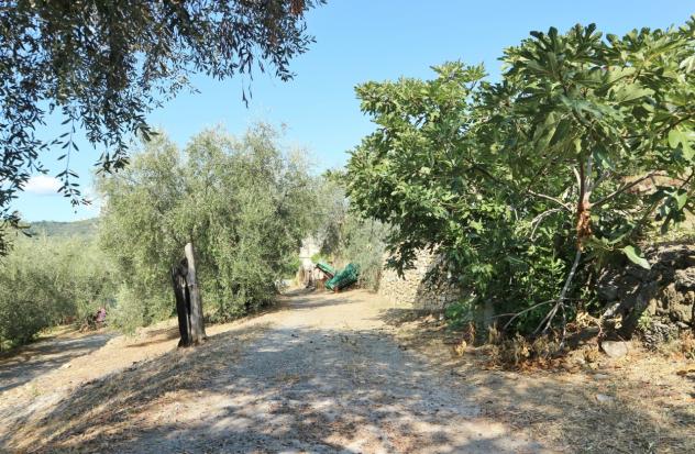 Casale in vendita a Diano San Pietro - Foto 19