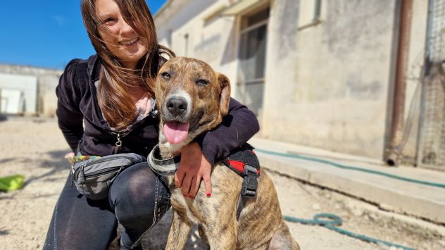 Shenny , cucciola rimasta da sola in canile senza le sue sorelle - Foto 7