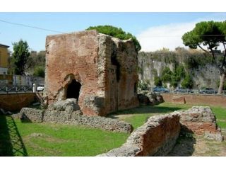 Struttura per uso commerciale in affitto a Pisa 200 mq  Rif: 1412655