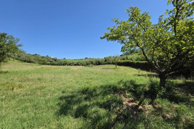 Terreno di 12000 m² in vendita a Guidonia Montecelio - Foto 9