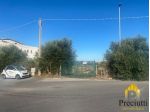 PISANA REGIONE LAZIO VIA MONTE STALLONARA TERRENO
