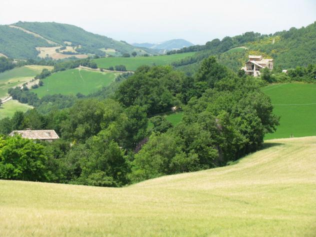 terreno boschivo mq500000 Privato