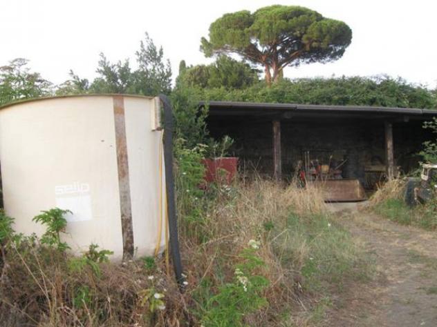 Immobile in asta di 152 m² in vendita a Grottaferrata - Foto 7