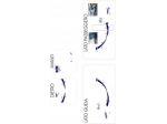 adesivi per camper mc louis 426 g in set completo con scelta colori
