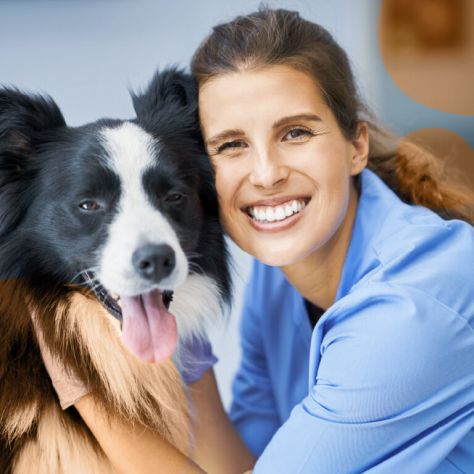 Corso Assistente Veterinario con Stage Garantito a Como
