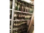 N.300 bottiglie vino vuote per imbottigliare