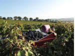 Attività / Licenza di 2000 m² con più di 5 locali in vendita a Camerano