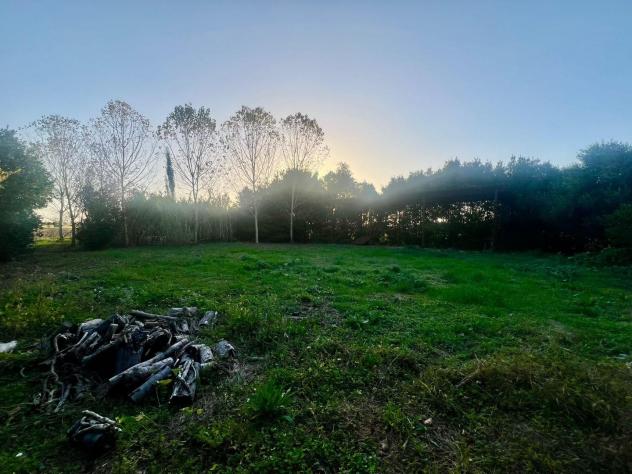 Rustico in vendita a San Martino a Ulmiano - San Giuliano Terme 400 mq Rif: 1356683 - Foto 6