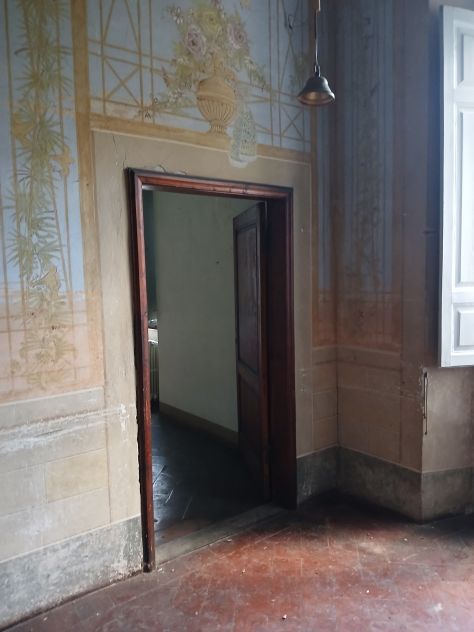VENDESI BELLISSIMA LEOPOLDINA CON 15.000.00 MQ GIARDINO - Foto 5
