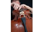 Violoncellista a lecco per musica ai matrimoni ed  eventi