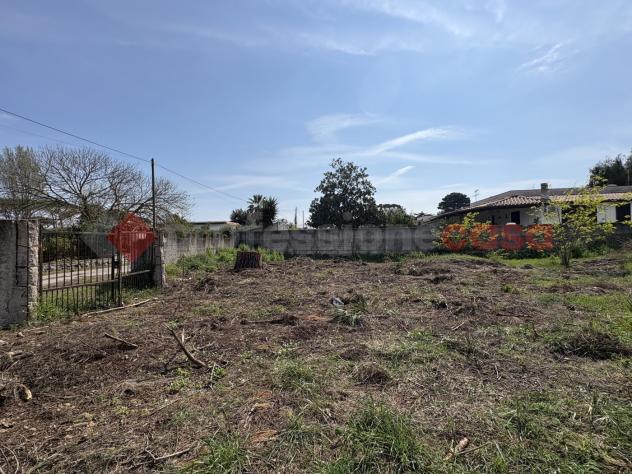 Terreno Agricolo - Terracina . Rif.: Cod. rif 3308552VRG - Foto 4
