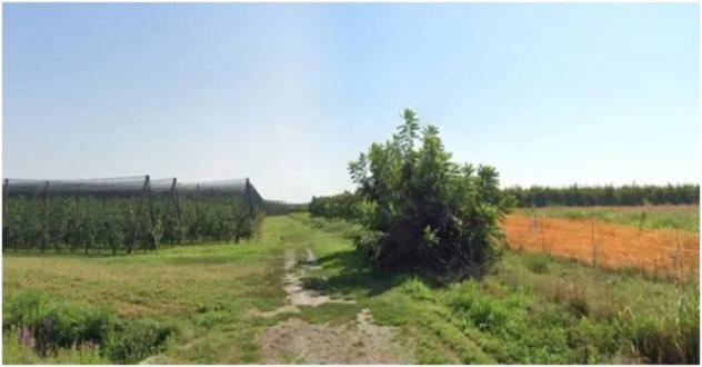 Immobile in asta di 34902 m² in vendita a Lagnasco - Foto 3