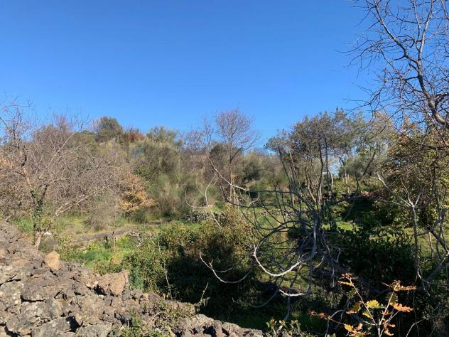 Terreno Edificabile in vendita a Mascalucia - Foto 9