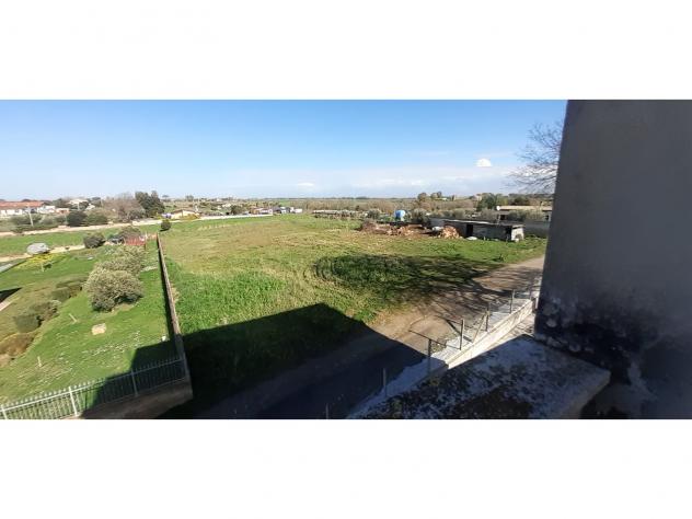 Agricolo in Via Antonio Neviani - Foto 2