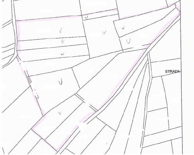 V000421 - TERRENO AGRICOLO DI 6,9 ETTARI IN VENDITA A RONCEGNO TERME - Foto 15