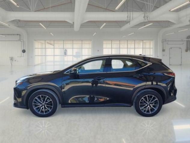 Lexus NX Hybrid BUSINESS 2WD MY22 FINO A 3 ANNI DI GARANZIA - Foto 3
