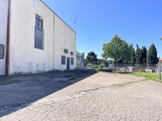 Commerciale in vendita a Rosignano Marittimo - Foto 16