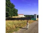 Masseria Signora dei F.lli Tagliente Giovanni e Tommaso Societa' Agricola