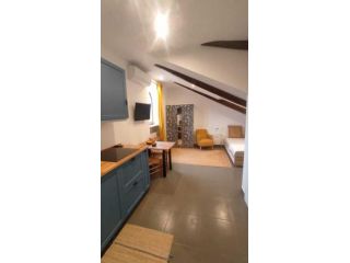 Mansarda in affitto a Torino
