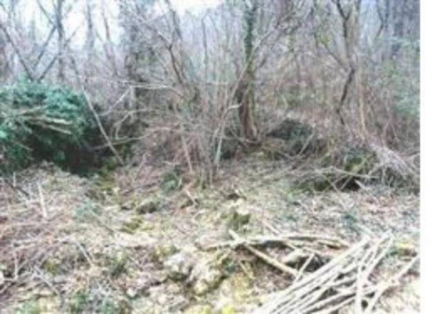 Immobile in asta di 244890 m² in vendita a Attimis - Foto 5