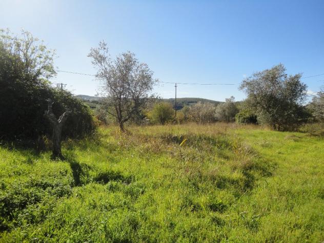 Terreno edif. residenziale in vendita a Ceppato - Casciana Terme Lari 5280 mq  Rif: 595225
