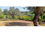 Terreno agricolo in vendita a Livorno 1600 mq  Rif: 1298792
